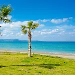 Pelagos * Paphos